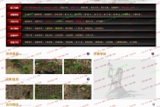 千年二层特色高爆轻变版本-经验5000倍 浩然5000倍 步法心法3倍
